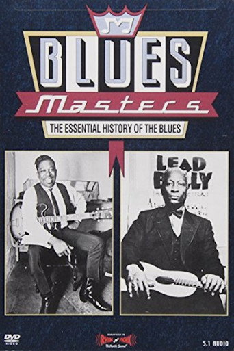 Movie poster for Blues Masters - The Essential History of the Blues (1993)