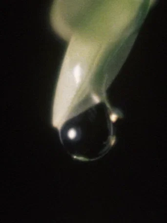 Movie poster for Raindrop (1975)