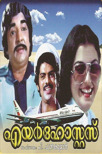 Movie poster for Air Hostess (1980)
