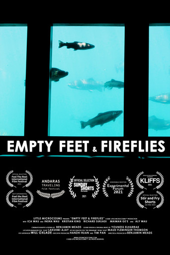 Movie poster for Empty Feet & Fireflies (2021)