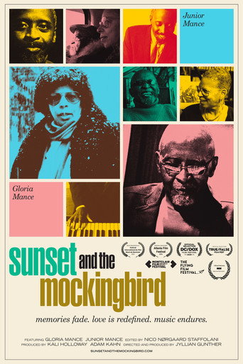 Movie poster for Sunset and the Mockingbird (2025)