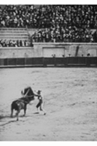 Course de taureaux : estocade poster