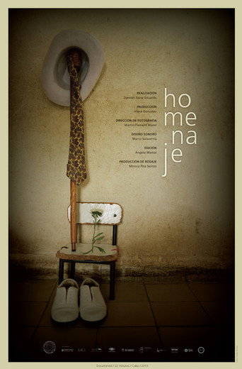 Movie poster for Homenaje (2013)