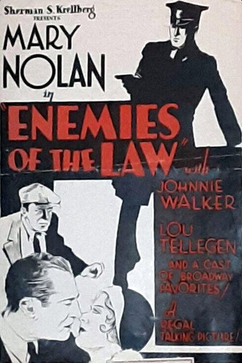 Movie poster for Enemies of the Law (1931)