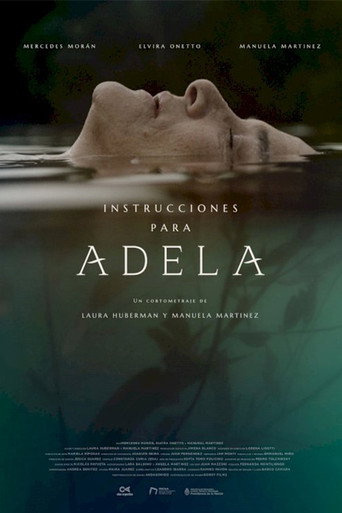Instrucciones para Adela poster