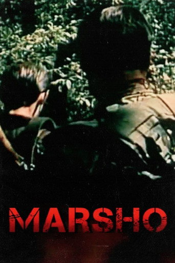 Movie poster for Freedom (2003)