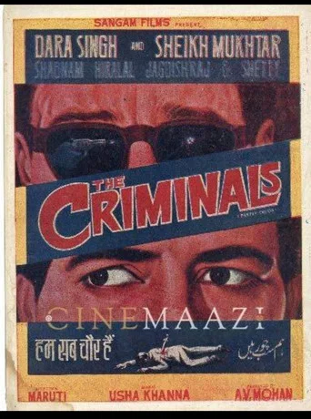 Movie poster for The Criminals (1973)