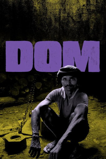 Movie poster for Dom
