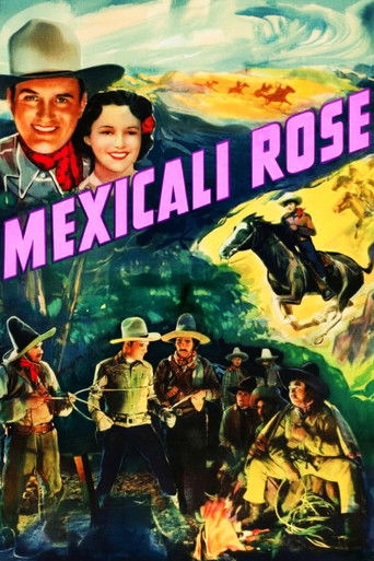 Mexicali Rose poster