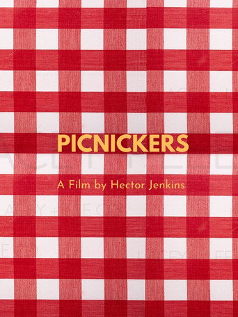 Movie poster for Picnickers