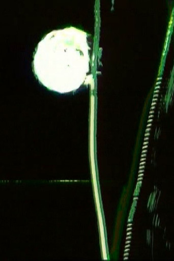 Movie poster for Moonlight (1997)
