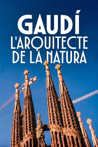 Movie poster for Gaudí, l'arquitecte de la natura (2002)
