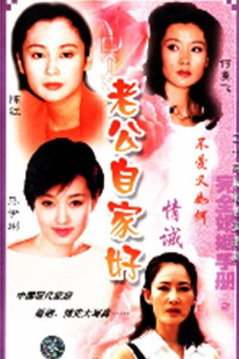 完全婚姻手册 poster
