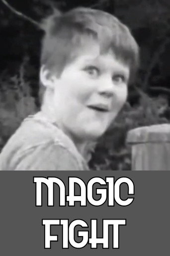 Movie poster for Magic Fight (2017)
