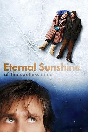 Movie poster for A Look Inside Eternal Sunshine of the Spotless Mind (2004)