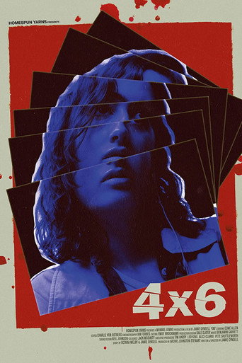 Movie poster for 4x6 (2019)