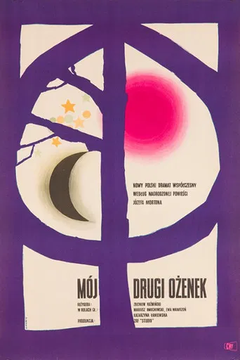 My Second Marriage poster