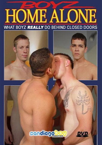 Movie poster for Boyz Home Alone (2004)