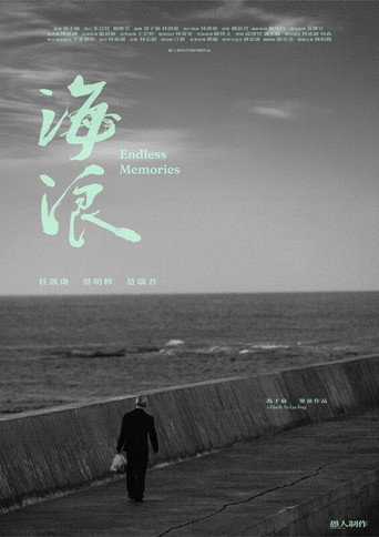 Endless Memories poster