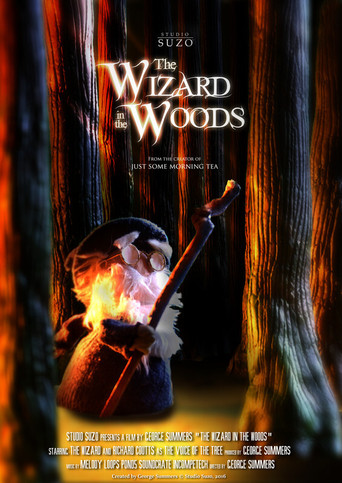 Movie poster for The Wizard in the Woods (2016)