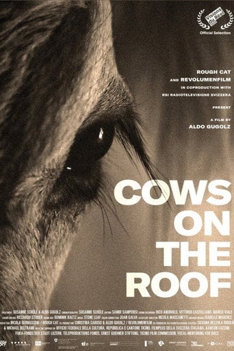 Movie poster for Cows on the Roof (2020)