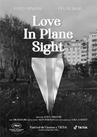 Movie poster for Love in Plane Sight (2022)