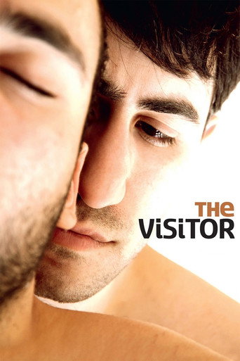 Movie poster for The Visitor (2011)