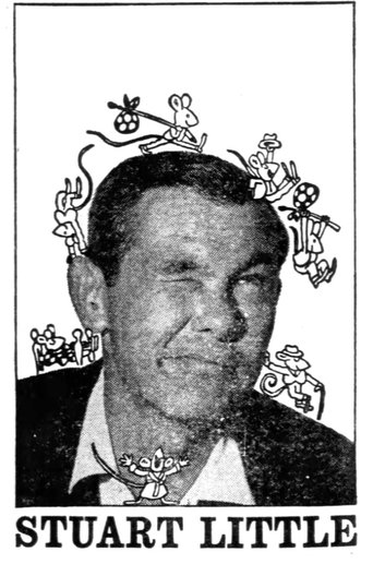 Stuart Little poster