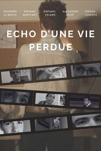 Movie poster for Echo d'une vie perdue (2025)