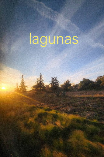 Movie poster for gaps