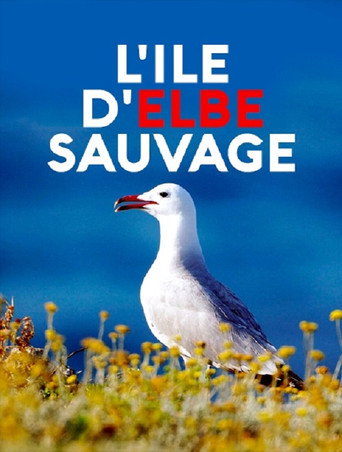 Movie poster for Wildes Elba (2019)