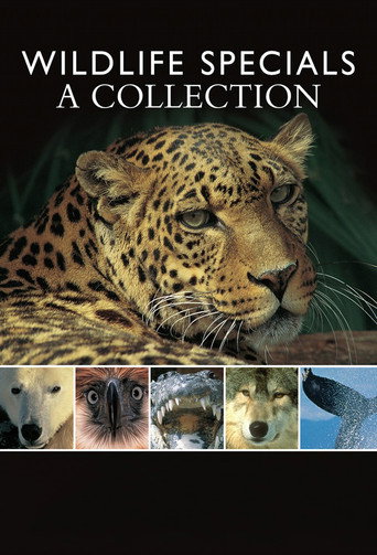 Wildlife Specials poster