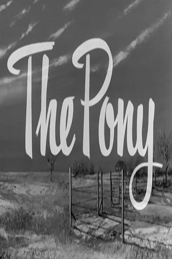 Movie poster for The Pony (1955)