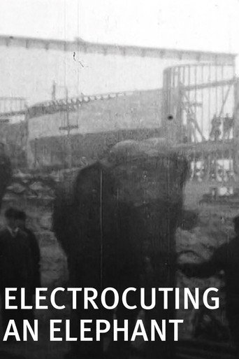 Movie poster for Electrocuting an Elephant (1903)