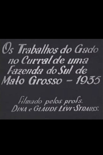 Movie poster for Cattle Work in the Corral of a Farm in Southern Mato Grosso (1935)
