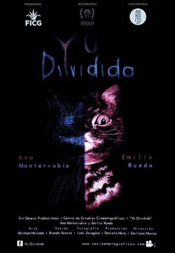 Movie poster for Yo Dividido (2016)