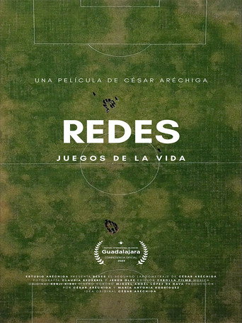 Movie poster for Nets: Games Of Life (2023)