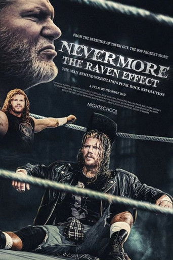 Nevermore: The Raven Effect poster