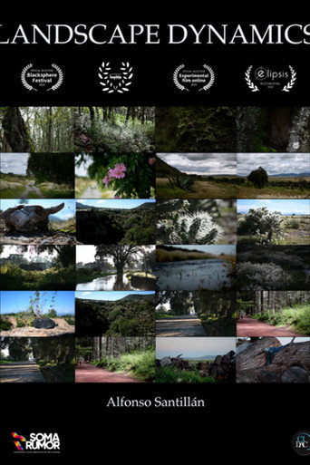 Movie poster for Landscape dynamics (2020)