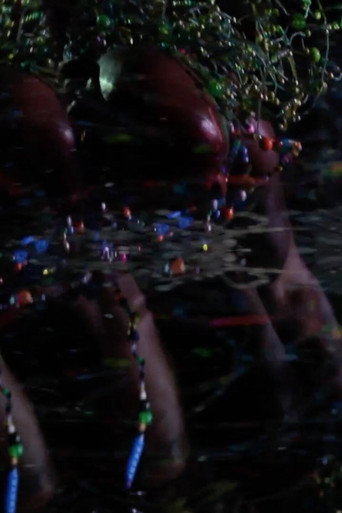 Good Stock On The Dimension Floor: An Opera poster