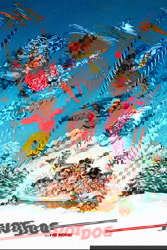 Hot Dog... The Movie poster