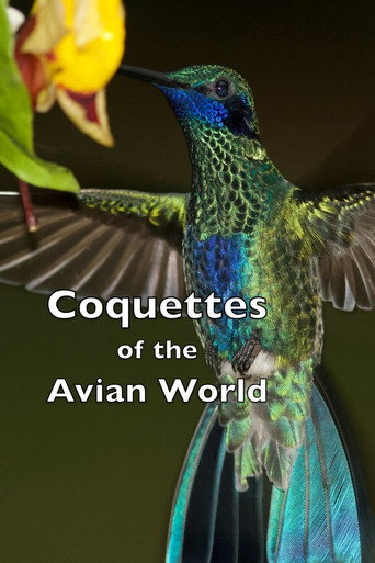 Movie poster for Coquettes of the Avian World (2023)