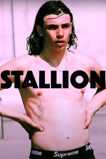 Movie poster for STALLION (2021)