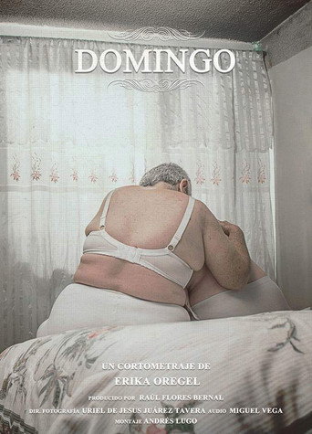 Movie poster for Domingo