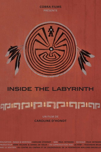 Movie poster for Inside the Labyrinth (2016)