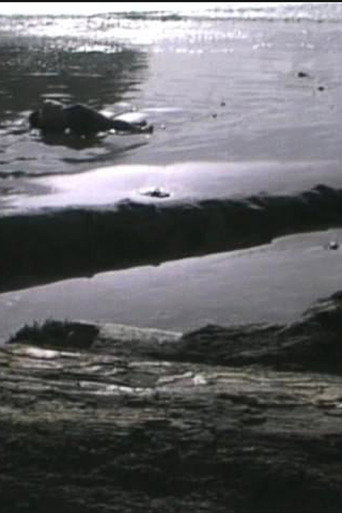 Movie poster for Incidence of Catastrophe (1988)