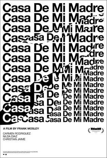 Movie poster for Casa de mi madre (2016)