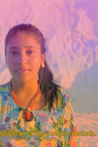 Movie poster for Wayuu Creation Myth (2017)