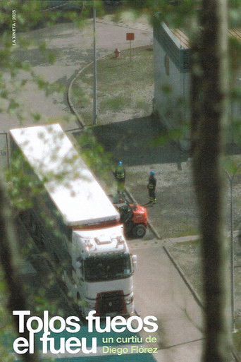 Tolos fueos el fueu poster