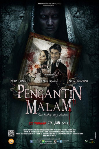 Pengantin Malam poster